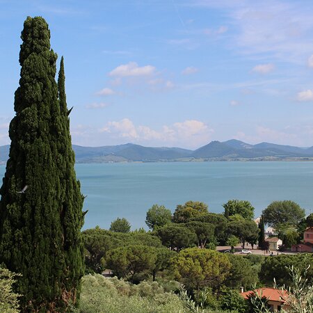 Lago Trasimeno mit grüner Landschaft im Vordergrund
